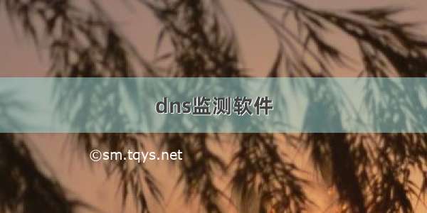 dns监测软件