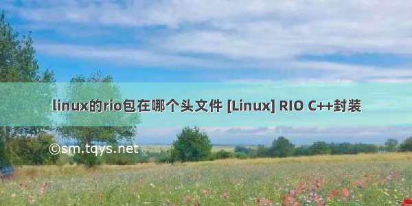 linux的rio包在哪个头文件 [Linux] RIO C++封装