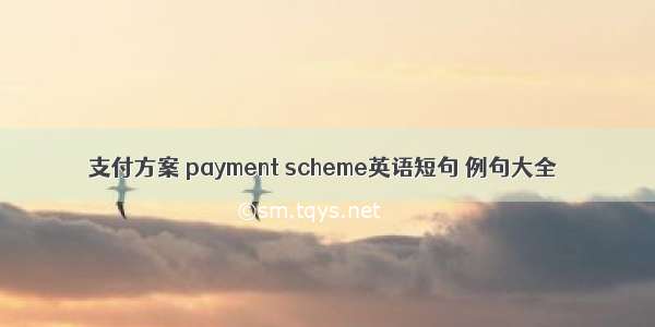 支付方案 payment scheme英语短句 例句大全