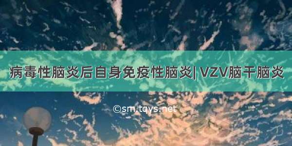 病毒性脑炎后自身免疫性脑炎| VZV脑干脑炎