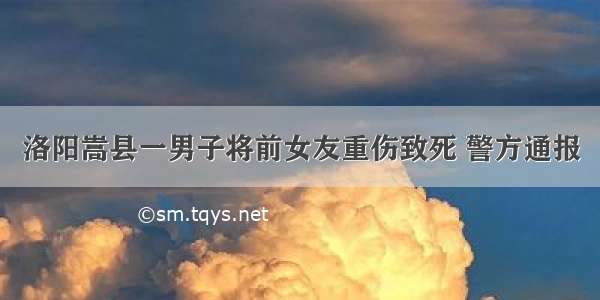 洛阳嵩县一男子将前女友重伤致死 警方通报