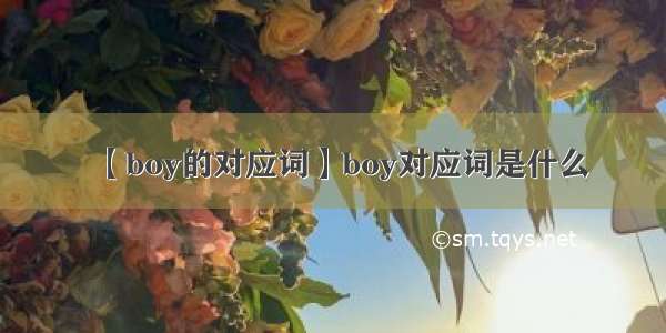 【boy的对应词】boy对应词是什么