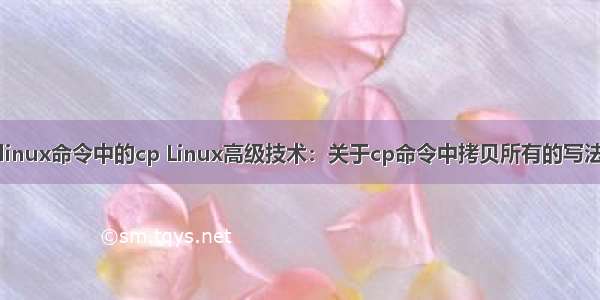 linux命令中的cp Linux高级技术：关于cp命令中拷贝所有的写法