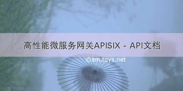 高性能微服务网关APISIX - API文档