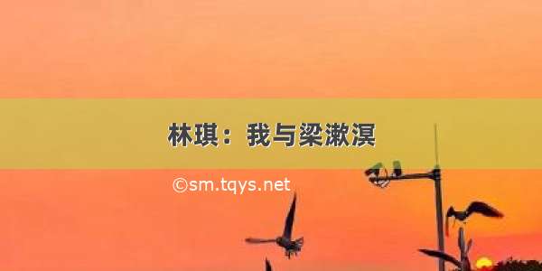 林琪：我与梁漱溟