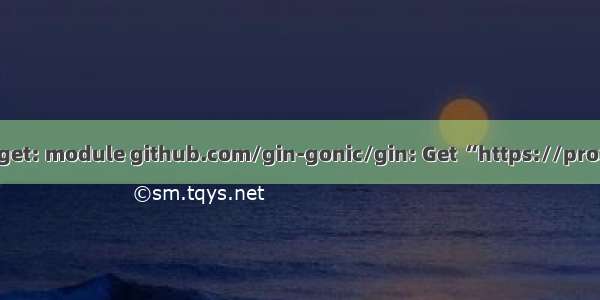 【已解决】安装Gin出现：go get: module github.com/gin-gonic/gin: Get “https://proxy.golang.org/github.com/