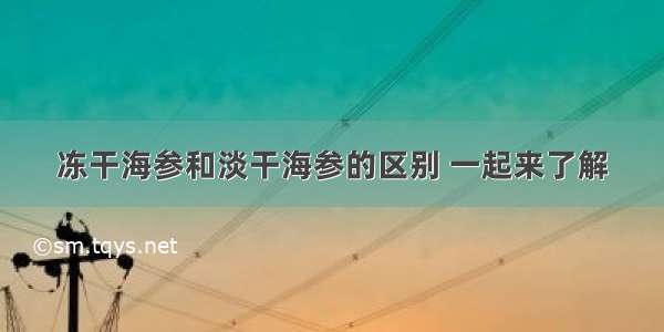 冻干海参和淡干海参的区别 一起来了解