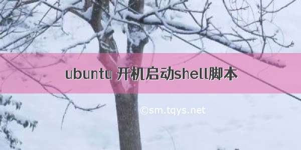 ubuntu 开机启动shell脚本