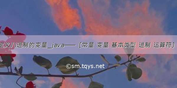 java 定义八进制的变量_java——（常量 变量 基本类型 进制 运算符）总结...