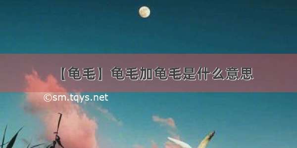 【龟毛】龟毛加龟毛是什么意思