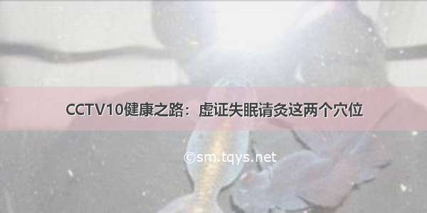 CCTV10健康之路：虚证失眠请灸这两个穴位