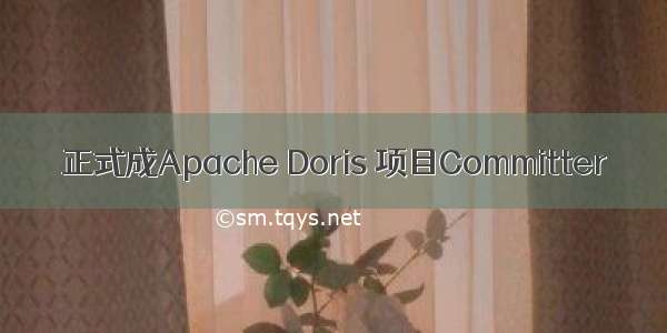 正式成Apache Doris 项目Committer