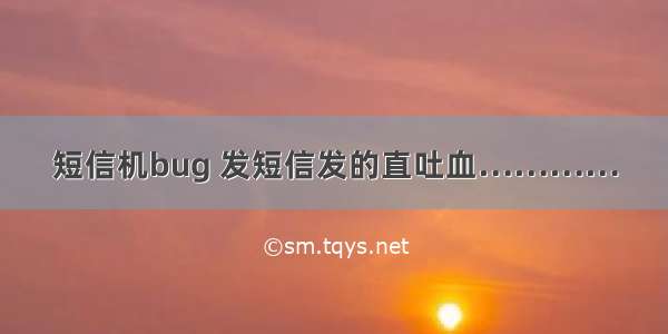 短信机bug 发短信发的直吐血…………