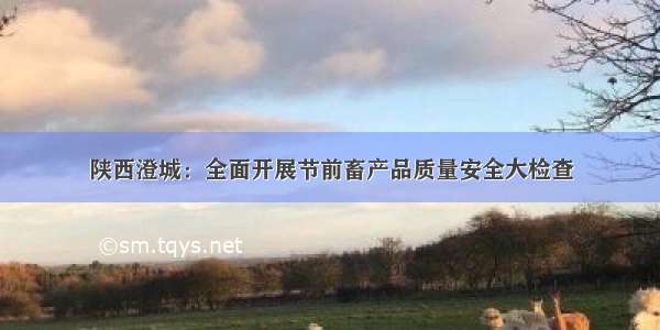 陕西澄城：全面开展节前畜产品质量安全大检查