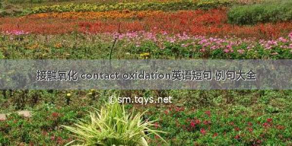 接触氧化 contact oxidation英语短句 例句大全