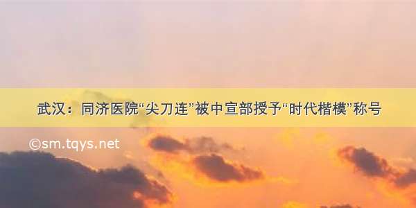 武汉：同济医院“尖刀连”被中宣部授予“时代楷模”称号