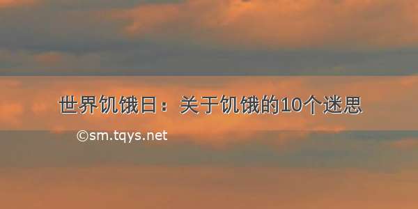 世界饥饿日：关于饥饿的10个迷思