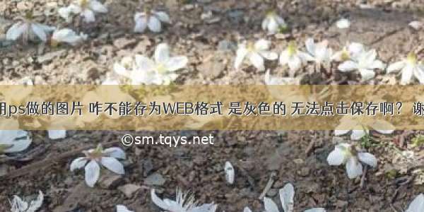 我用ps做的图片 咋不能存为WEB格式 是灰色的 无法点击保存啊？ 谢谢!