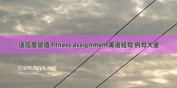 适应度赋值 fitness assignment英语短句 例句大全