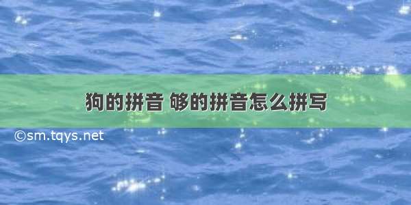 狗的拼音 够的拼音怎么拼写