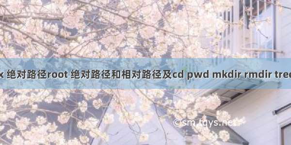 linux 绝对路径root 绝对路径和相对路径及cd pwd mkdir rmdir tree命令