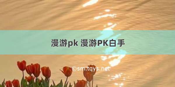 漫游pk 漫游PK白手