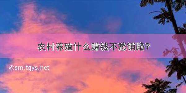 农村养殖什么赚钱不愁销路？