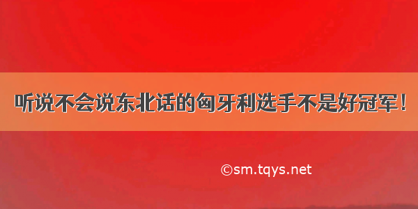 听说不会说东北话的匈牙利选手不是好冠军！