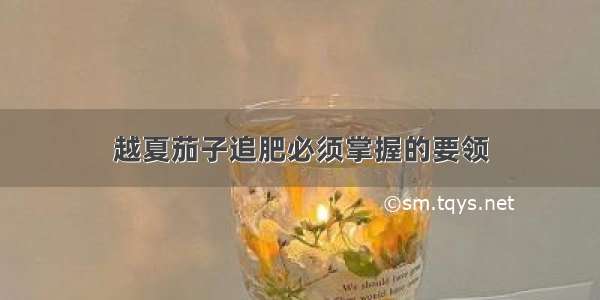 越夏茄子追肥必须掌握的要领