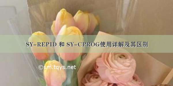 SY-REPID 和 SY-CPROG使用详解及其区别