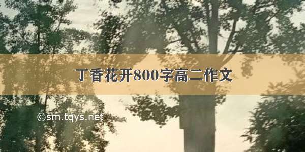 丁香花开800字高二作文