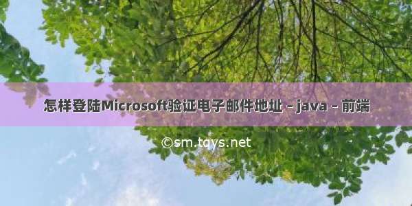 怎样登陆Microsoft验证电子邮件地址 – java – 前端