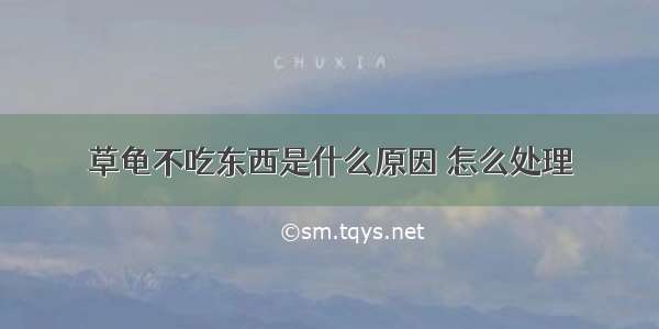 草龟不吃东西是什么原因 怎么处理