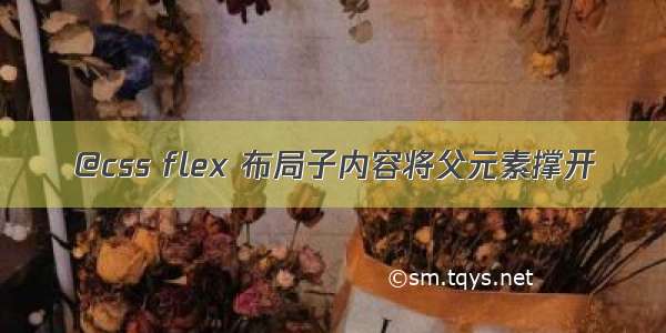 @css flex 布局子内容将父元素撑开