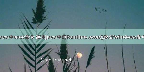 java中exec命令 使用Java中的Runtime.exec()執行Windows命令
