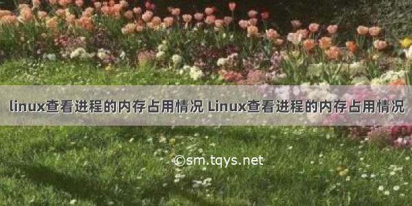 linux查看进程的内存占用情况 Linux查看进程的内存占用情况