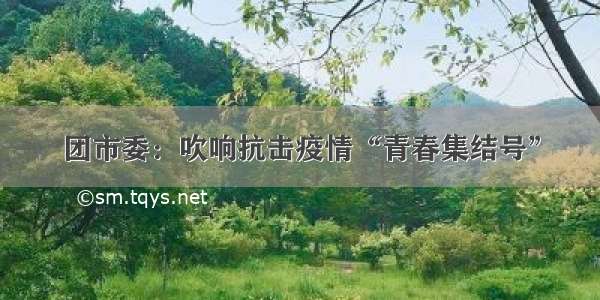 团市委：吹响抗击疫情“青春集结号”