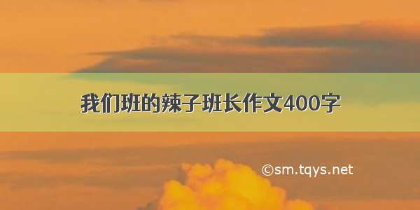 我们班的辣子班长作文400字