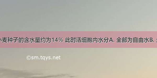 北京地区小麦种子的含水量约为14% 此时活细胞内水分A. 全部为自由水B. 全部为结合