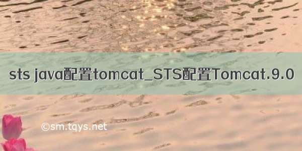 sts java配置tomcat_STS配置Tomcat.9.0