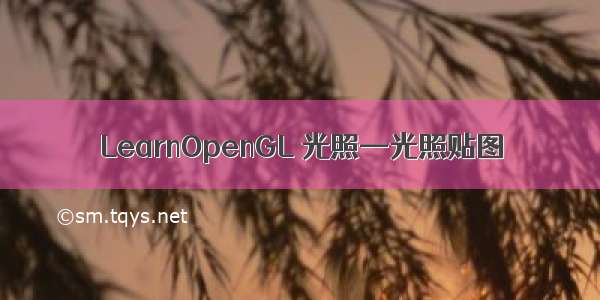 LearnOpenGL 光照—光照贴图