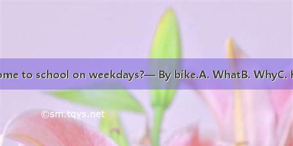 — do you come to school on weekdays?— By bike.A. WhatB. WhyC. HowD. When