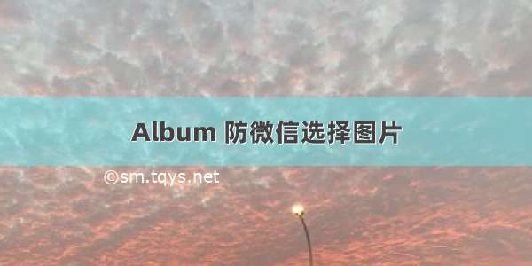 Album 防微信选择图片