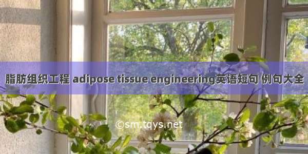 脂肪组织工程 adipose tissue engineering英语短句 例句大全