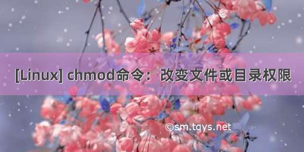 [Linux] chmod命令：改变文件或目录权限