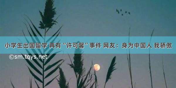 小学生出国留学 再有“许可馨”事件 网友：身为中国人 我骄傲