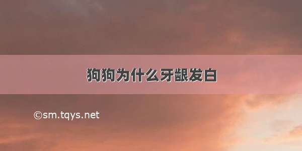 狗狗为什么牙龈发白