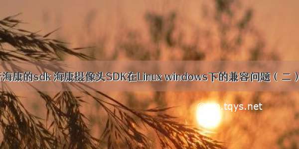 linux运行海康的sdk 海康摄像头SDK在Linux windows下的兼容问题（二）已解决