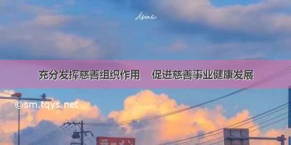 充分发挥慈善组织作用    促进慈善事业健康发展