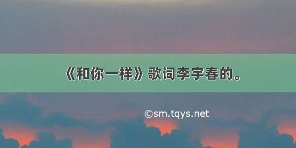 《和你一样》歌词李宇春的。